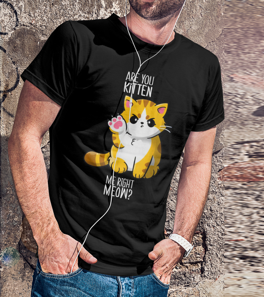 Are You Kitten Me Right Meow Cute Kitty T-Shirt