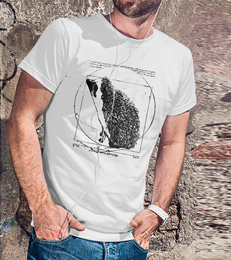 Vitruvian Hedgehog Vintage T-Shirt