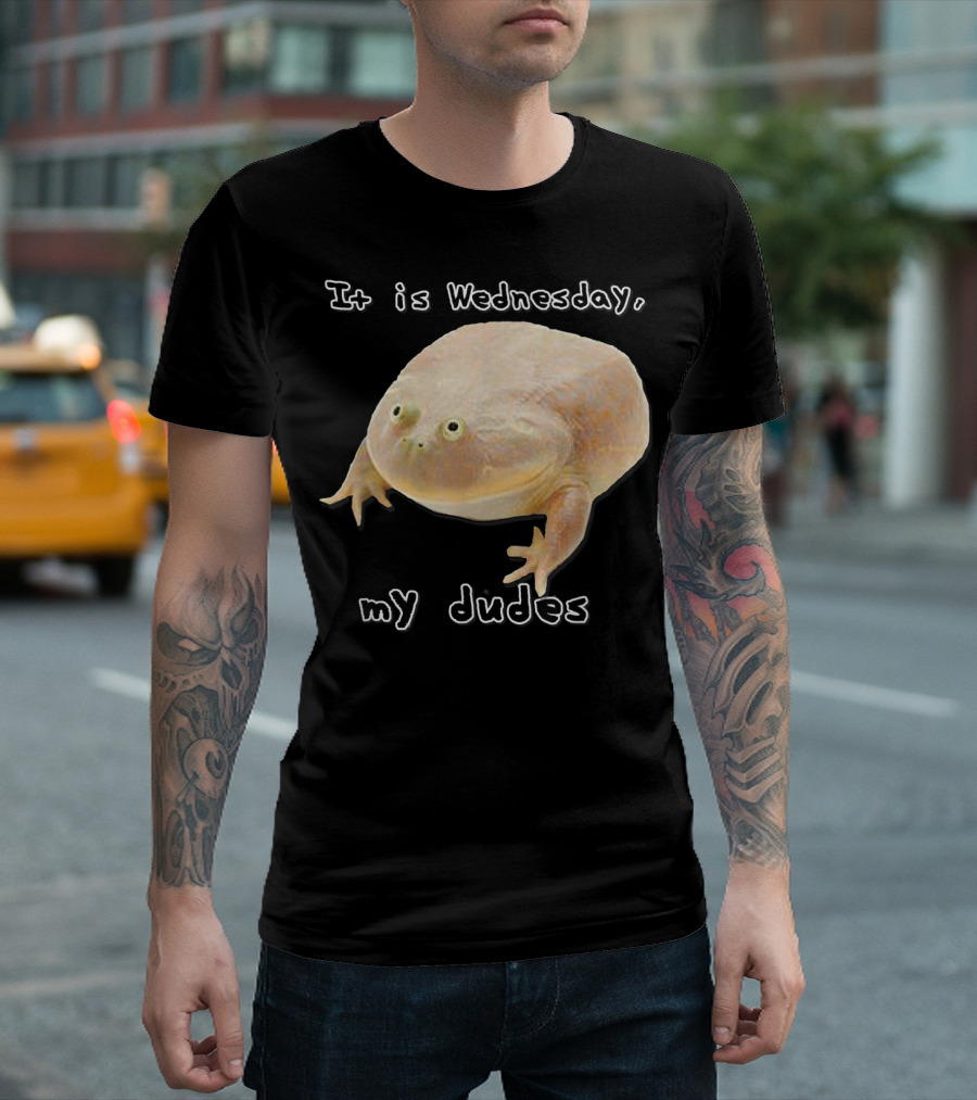 It Is Wednesday My Dudes Funny Classic Frog Meme T-Shirt