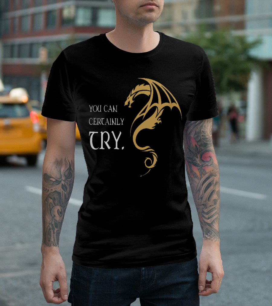 You Can Certainly Try Dragon Fire Dungeons Fantasy T-Shirt