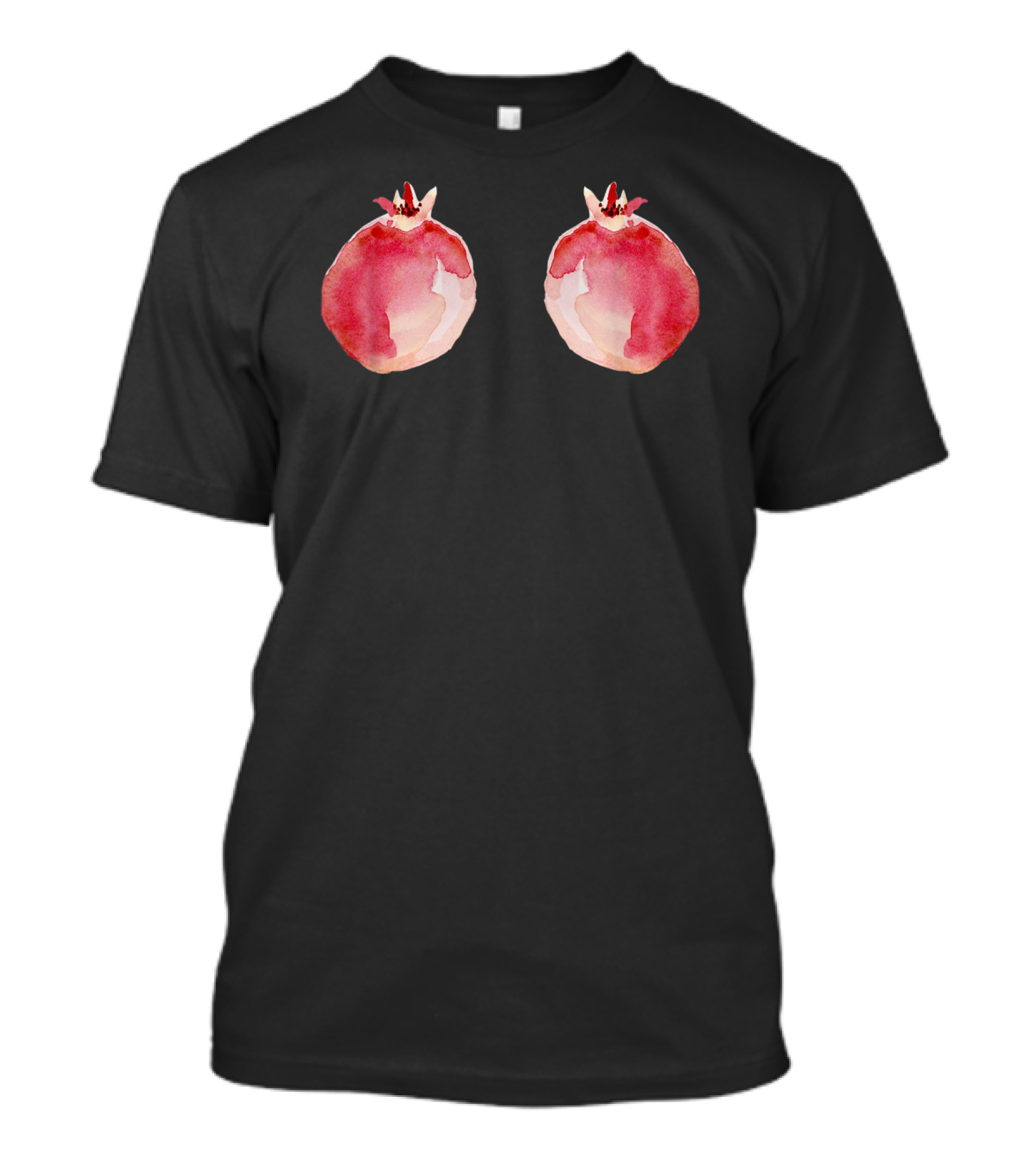 Hanging Pomegranates Watercolor Duo T-Shirt