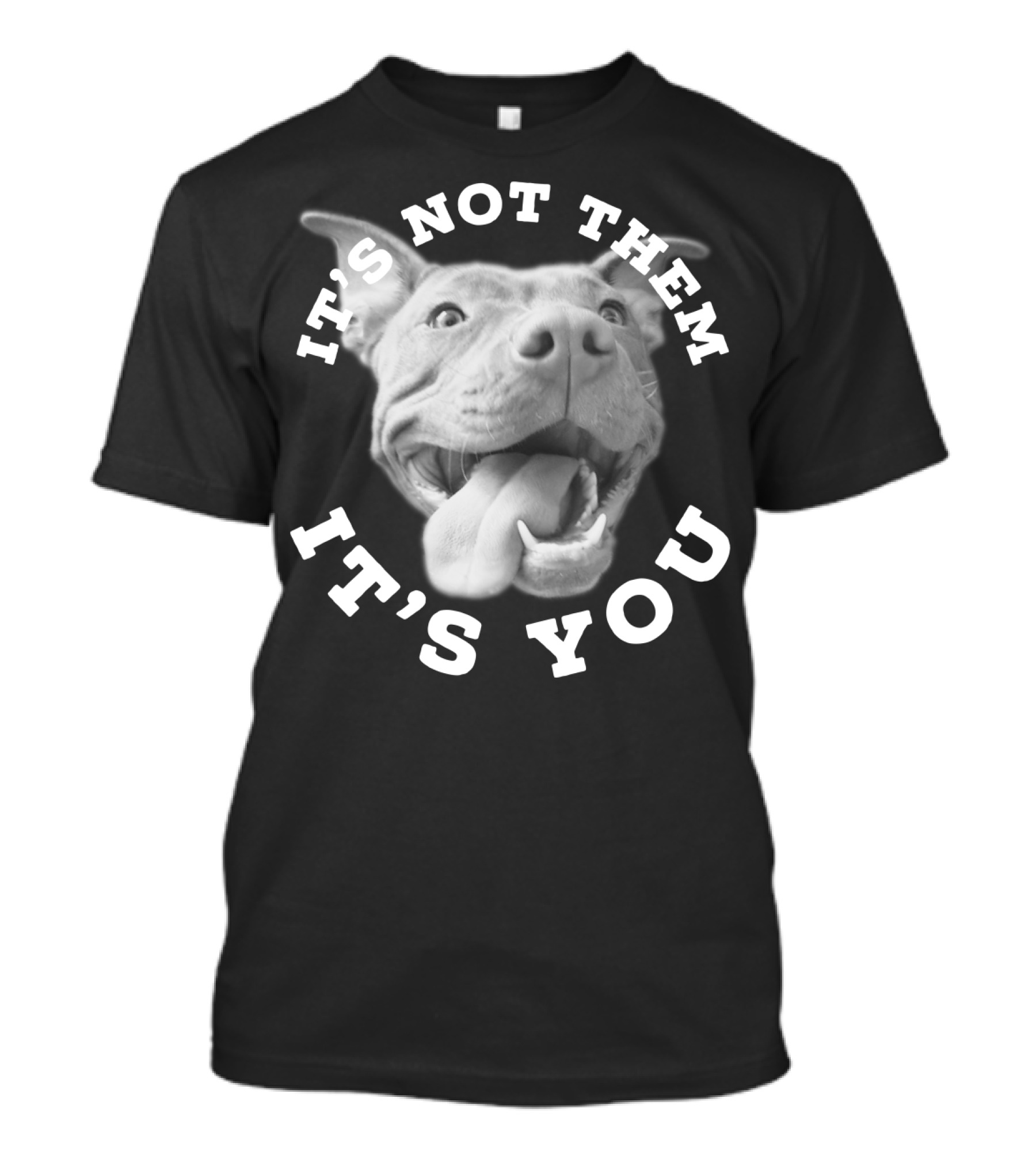 Dog Lover Pitbull Lover It's Not Them It's You T-Shirt