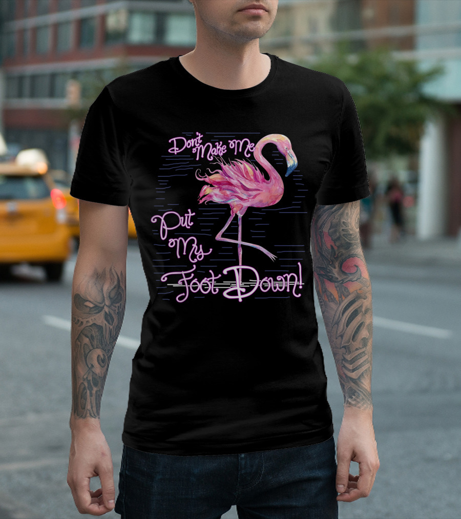 Don't Make Me Put My Foot Down Flamingo Pastel Sketch T-Shirt