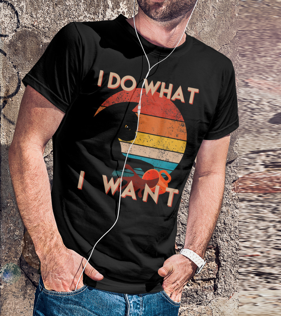 Vintage Cat I Do What I Want Retro Sunset T-Shirt