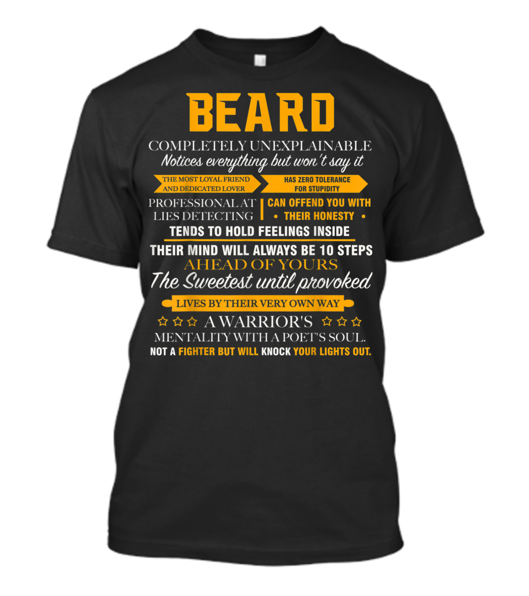 BEARD Completely Unexplainable Noticing Everything Honesty Warrior's Mentality Poet's Soul T-Shirt