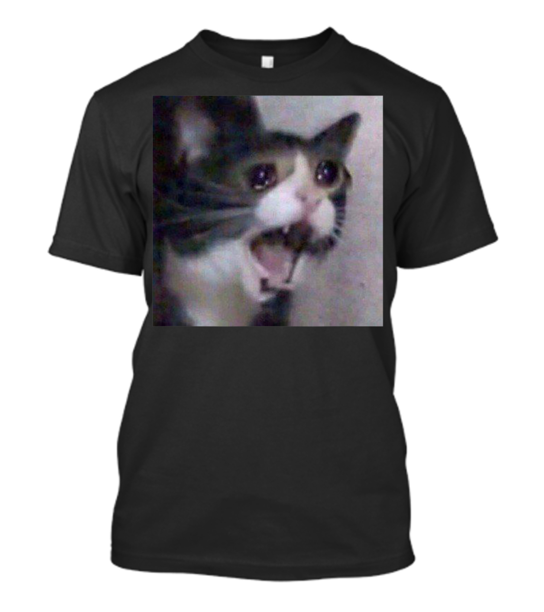 Sad Cat Screaming Funny Internet Viral Meme Joke T-Shirt