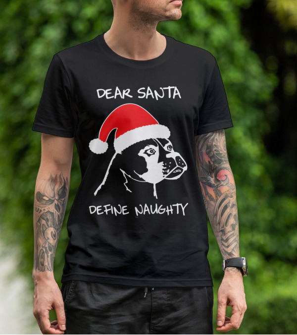 Dear Santa Define Naughty Boxer Funny Ugly Xmas Dog Lovers T-Shirt