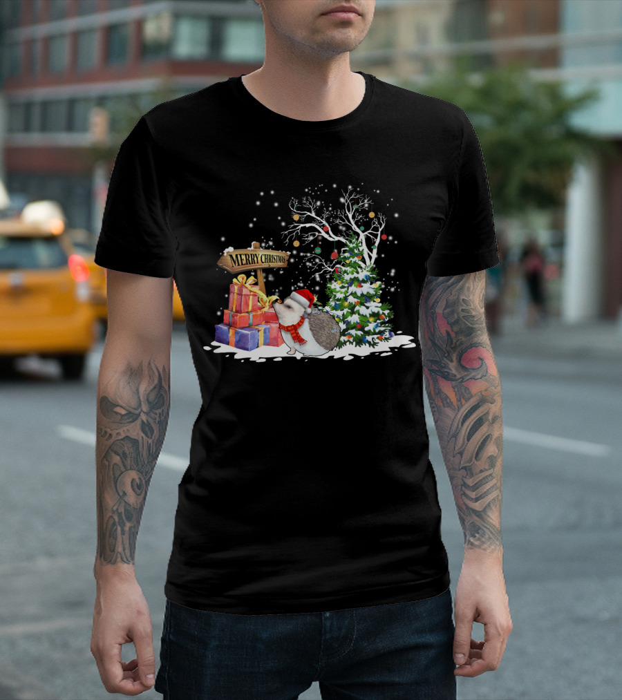 Merry Christmas Funny Hedgehog Santa Christmas Hedgehog Lover T-Shirt