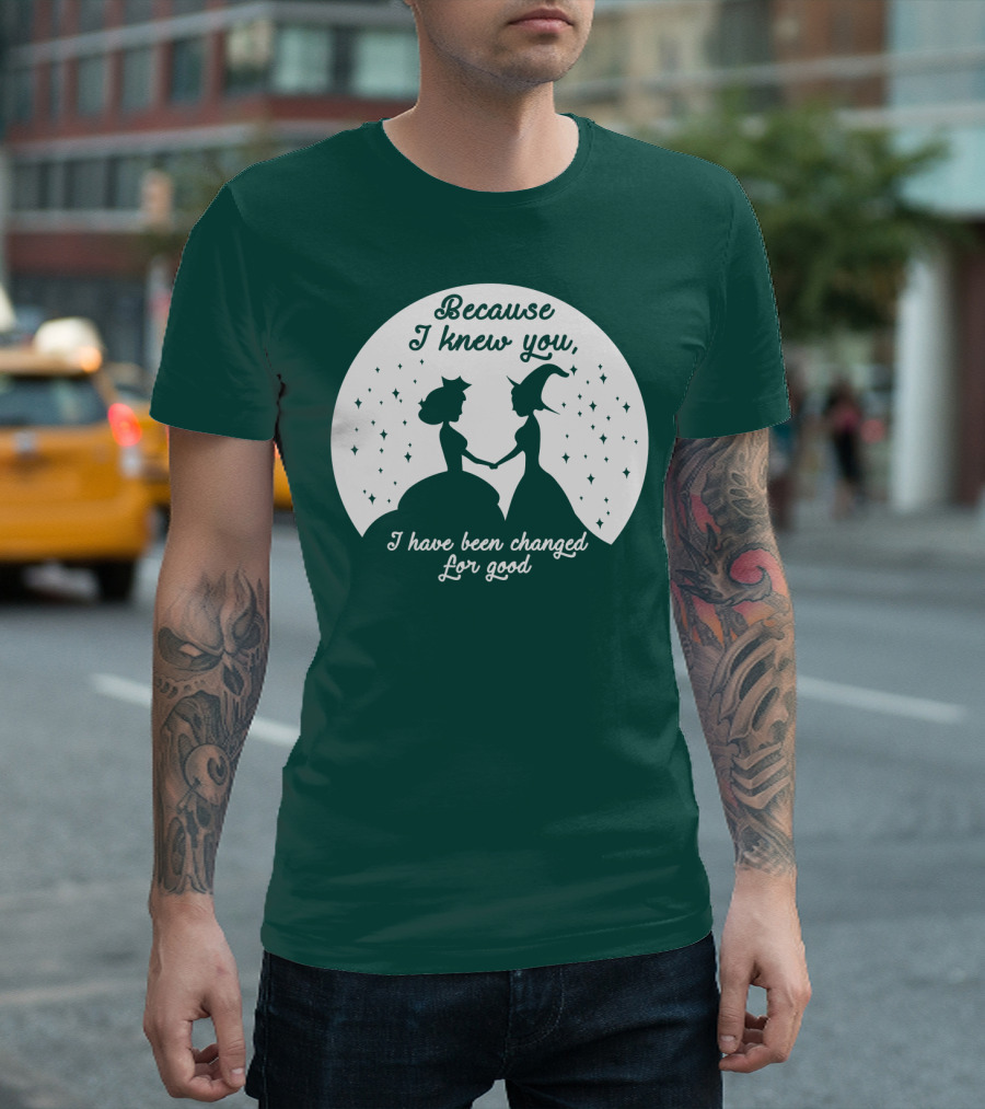 Because I Knew You I Have Been Changed For Good Silhouettes Stars T-Shirt