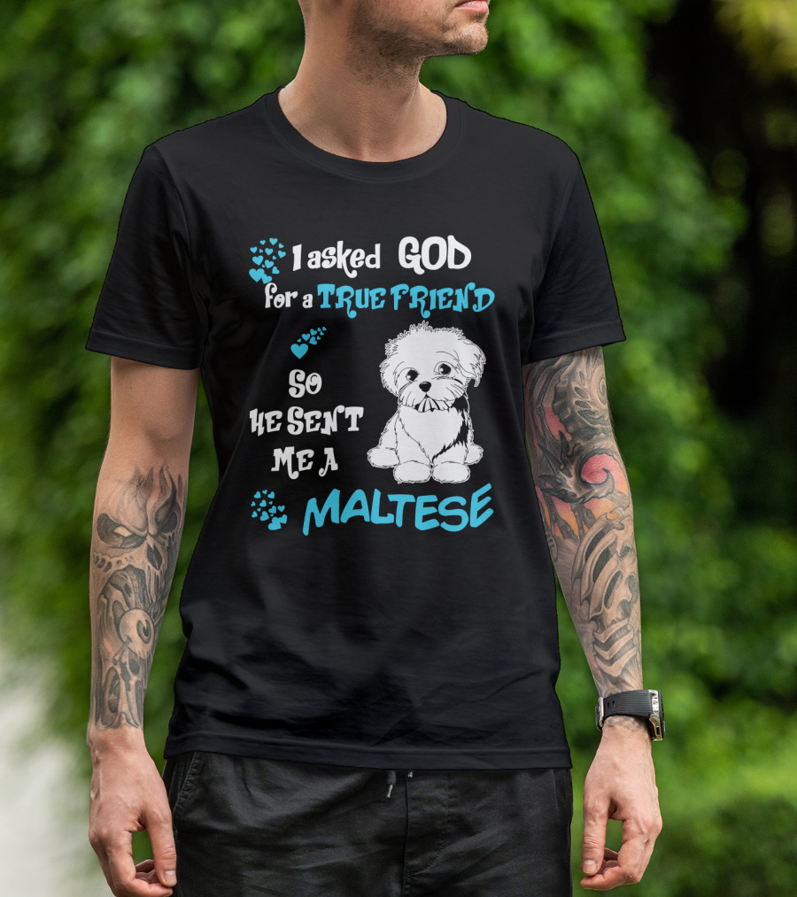 God Sent Me A True Friend Maltese Dog So He Sent Me A Maltese T-Shirt