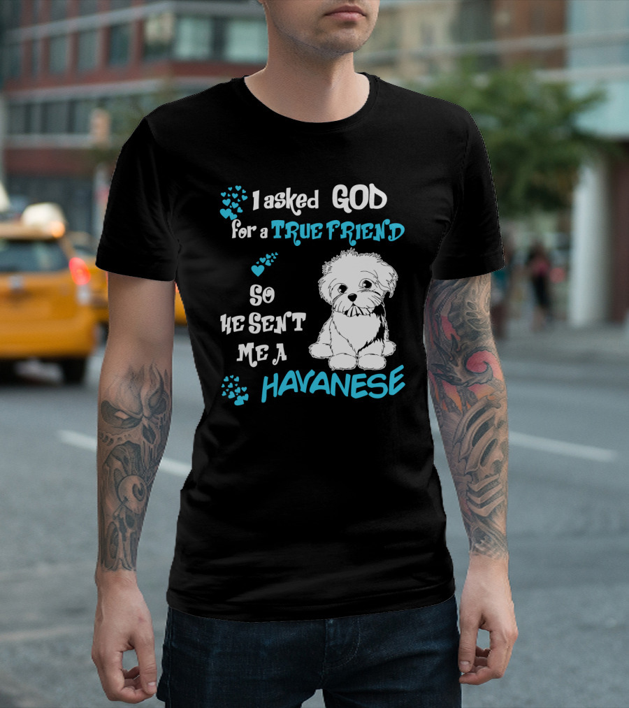 I Asked God For A True Friend So He Sent Me A Havanese T-Shirt