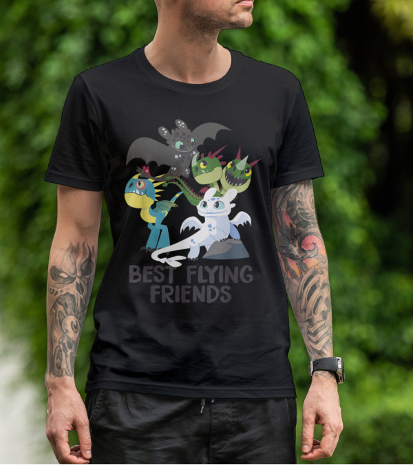 Best Flying Friends How To Train Your Dragon 3 Hidden World T-Shirt