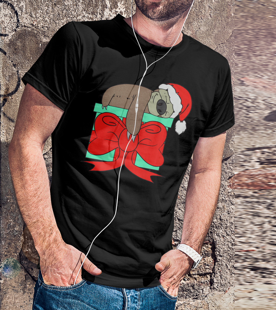 Lazy Christmas Sloth With Santa Hat And Gift Box Cute Funny Love It T-Shirt