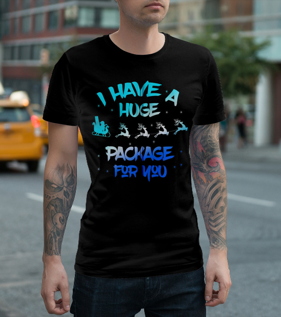 I Have A Huge Package For You Santa Reindeer Sleigh T-Shirt