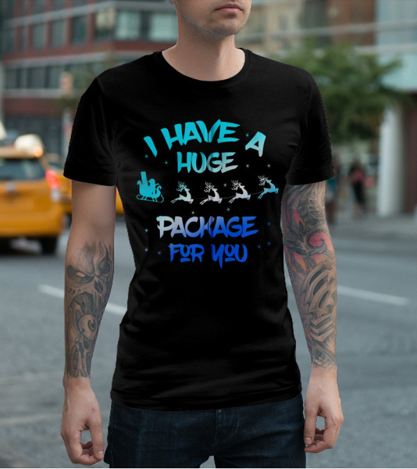 I Have A Huge Package For You Santa Reindeer Sleigh T-Shirt