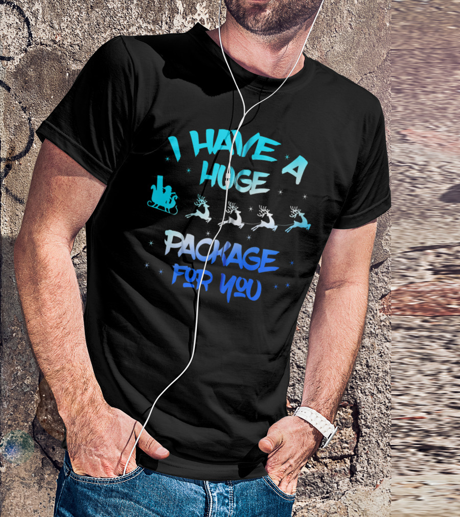 I Have A Huge Package For You Santa Reindeer Sleigh T-Shirt