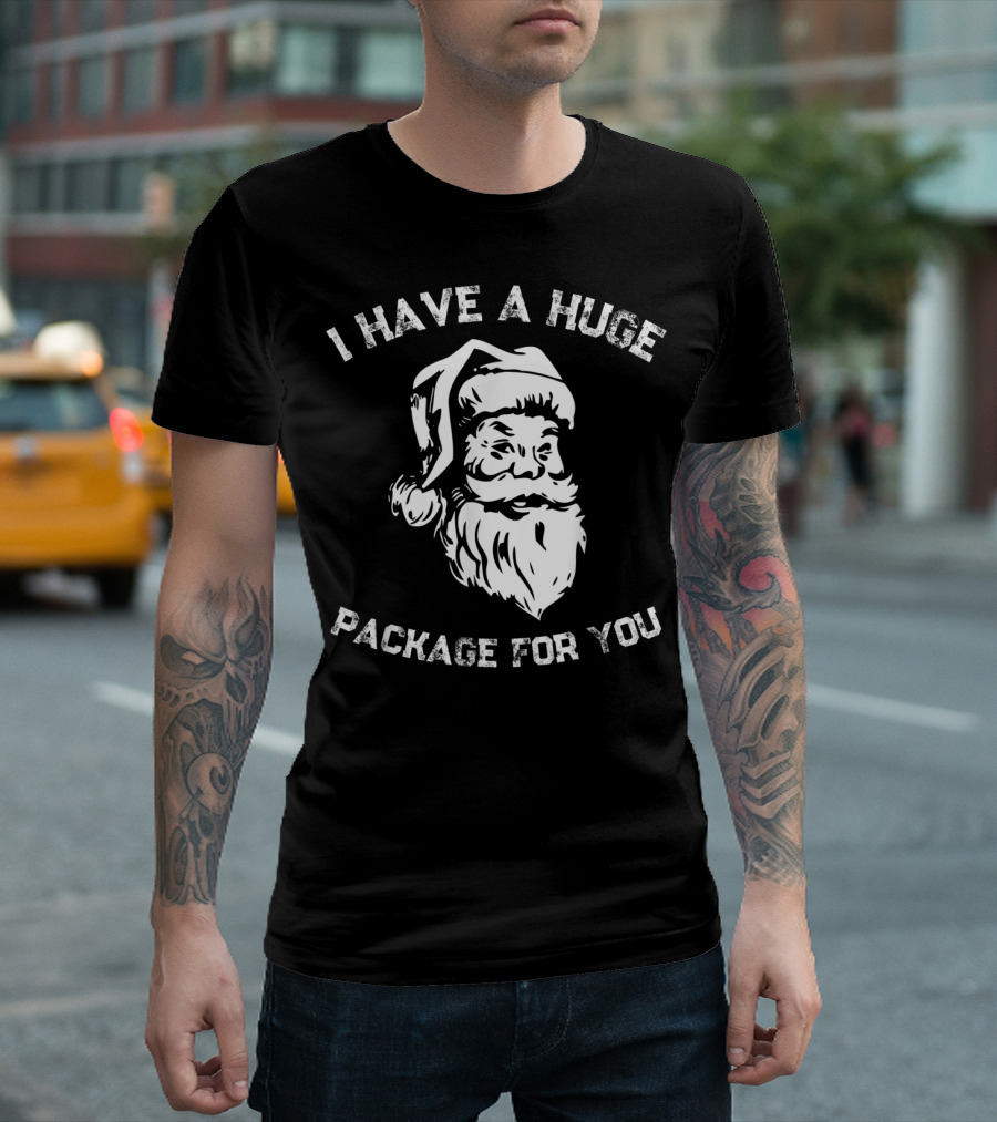 I Have A Huge Package For You Santa T-Shirt
