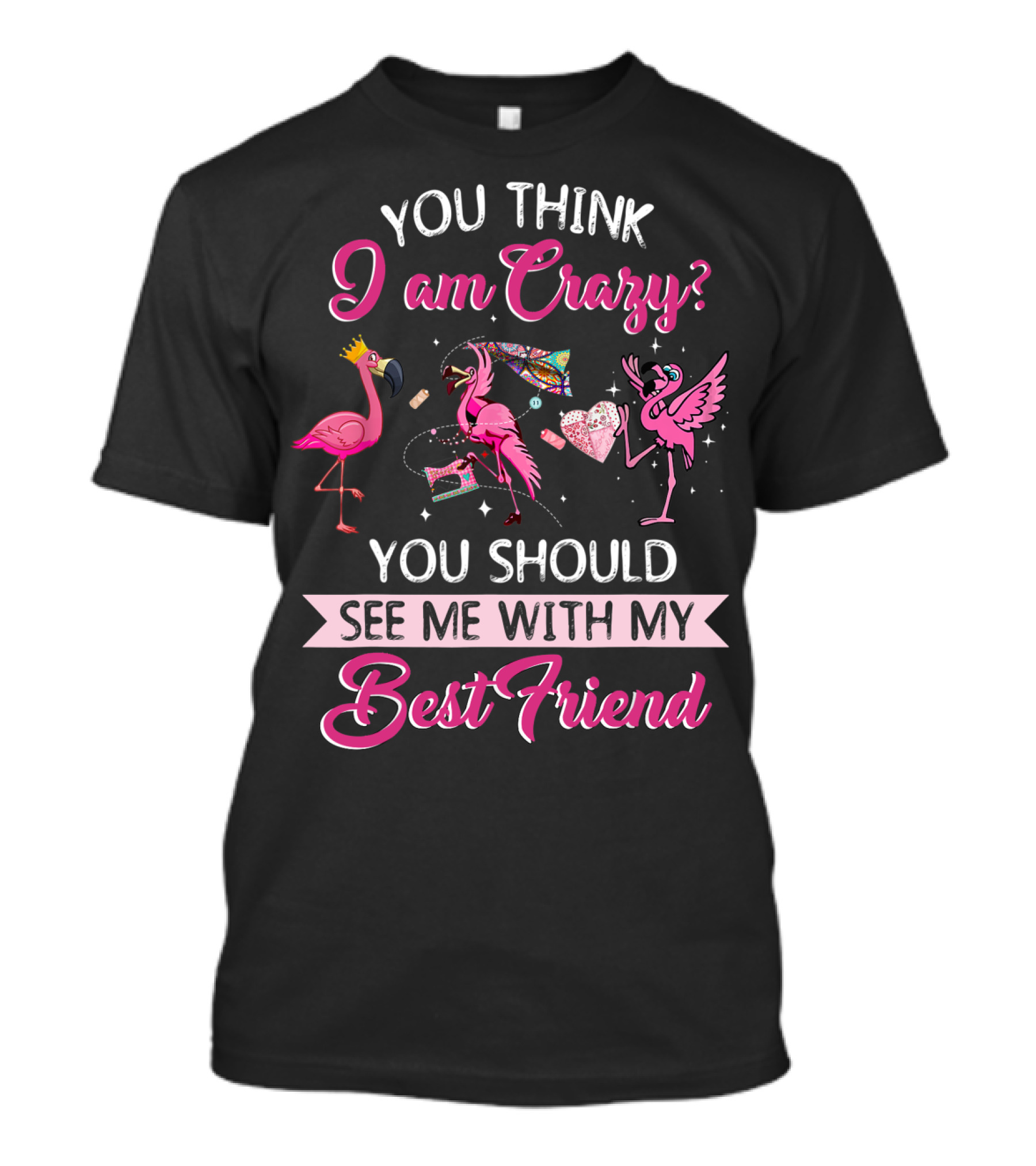 You Think I Am Crazy You Should See Me With My Best Friend Quilting Flamingo T-Shirt
