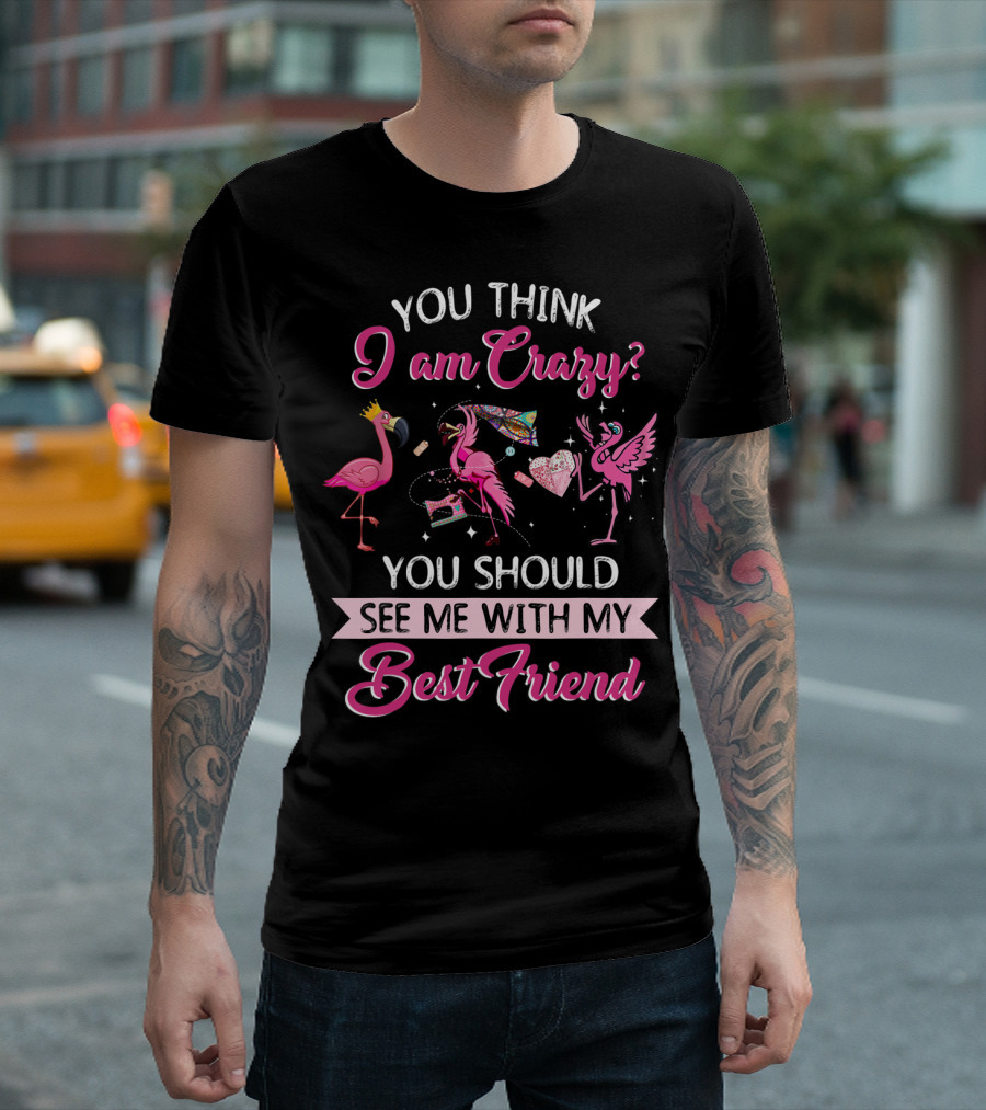 You Think I Am Crazy You Should See Me With My Best Friend Quilting Flamingo T-Shirt