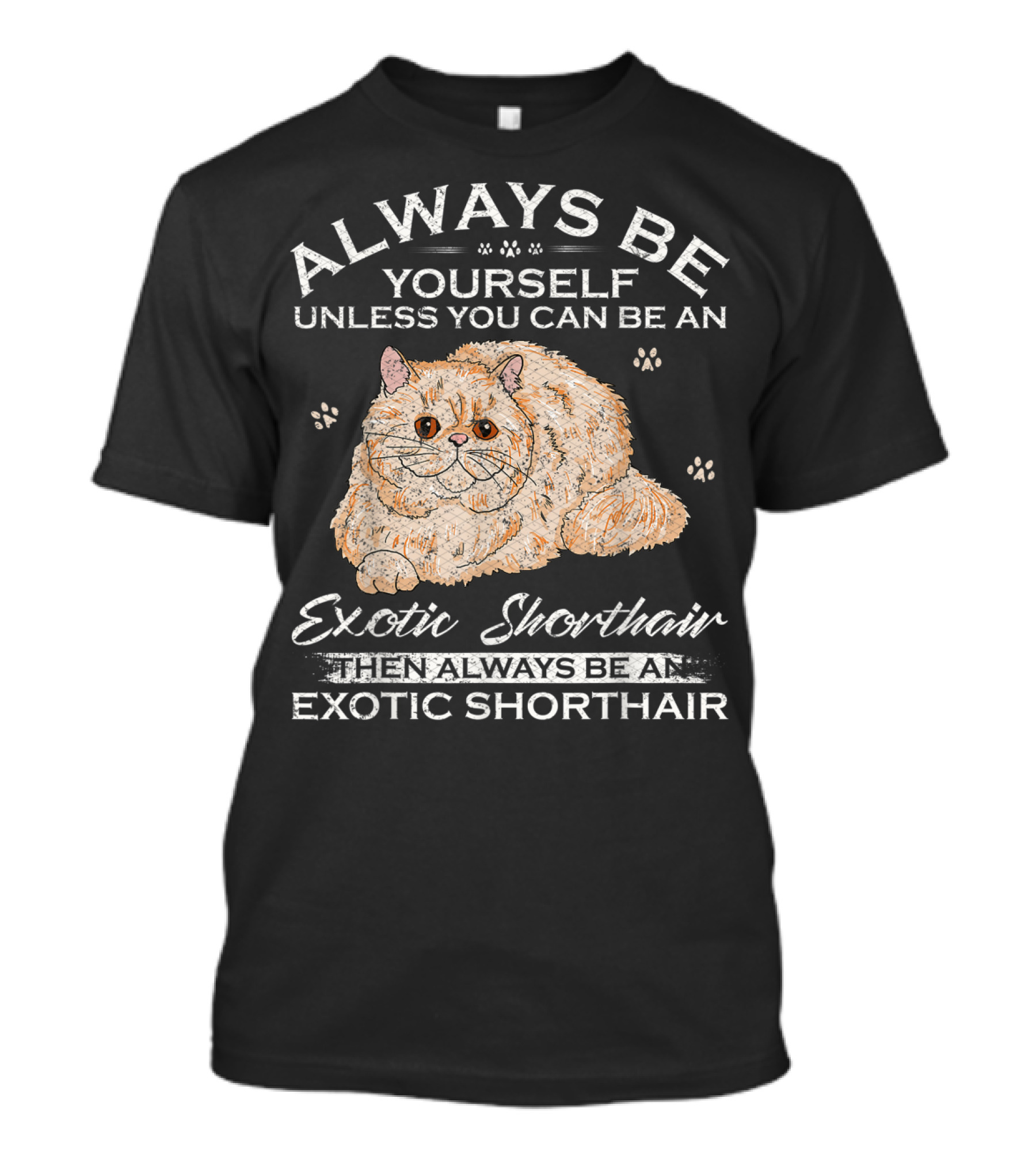 Always Be Yourself Unless You Can Be An Exotic Shorthair Then Always Be An Exotic Shorthair T-Shirt