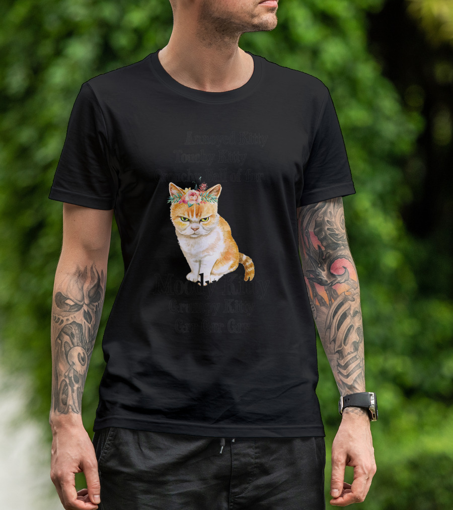 Annoyed Kitty Touchy Kitty Crouchy Ball Of Fur Moody Kitty Grumpy Kitty Grr Grr Grr T-Shirt