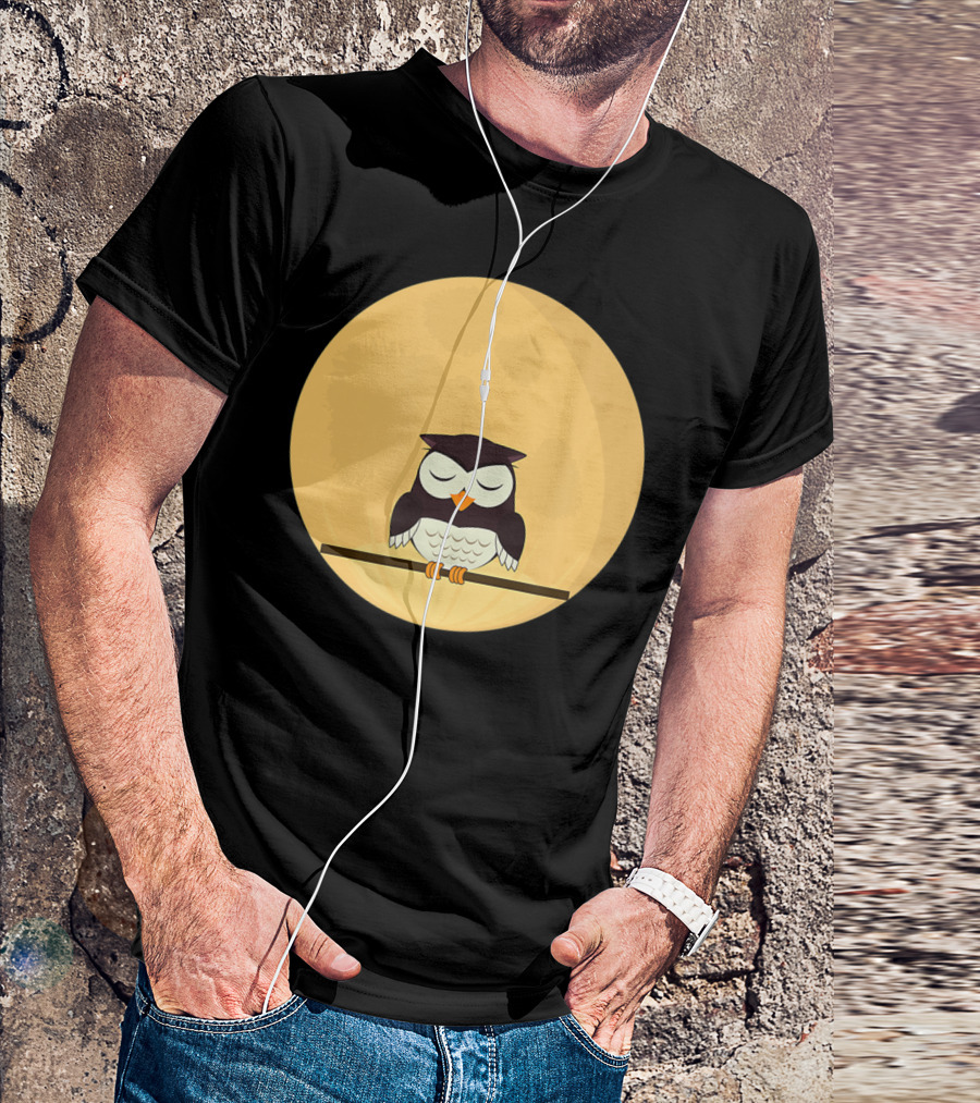 An Owl And The Full Moon Night Sky T-Shirt