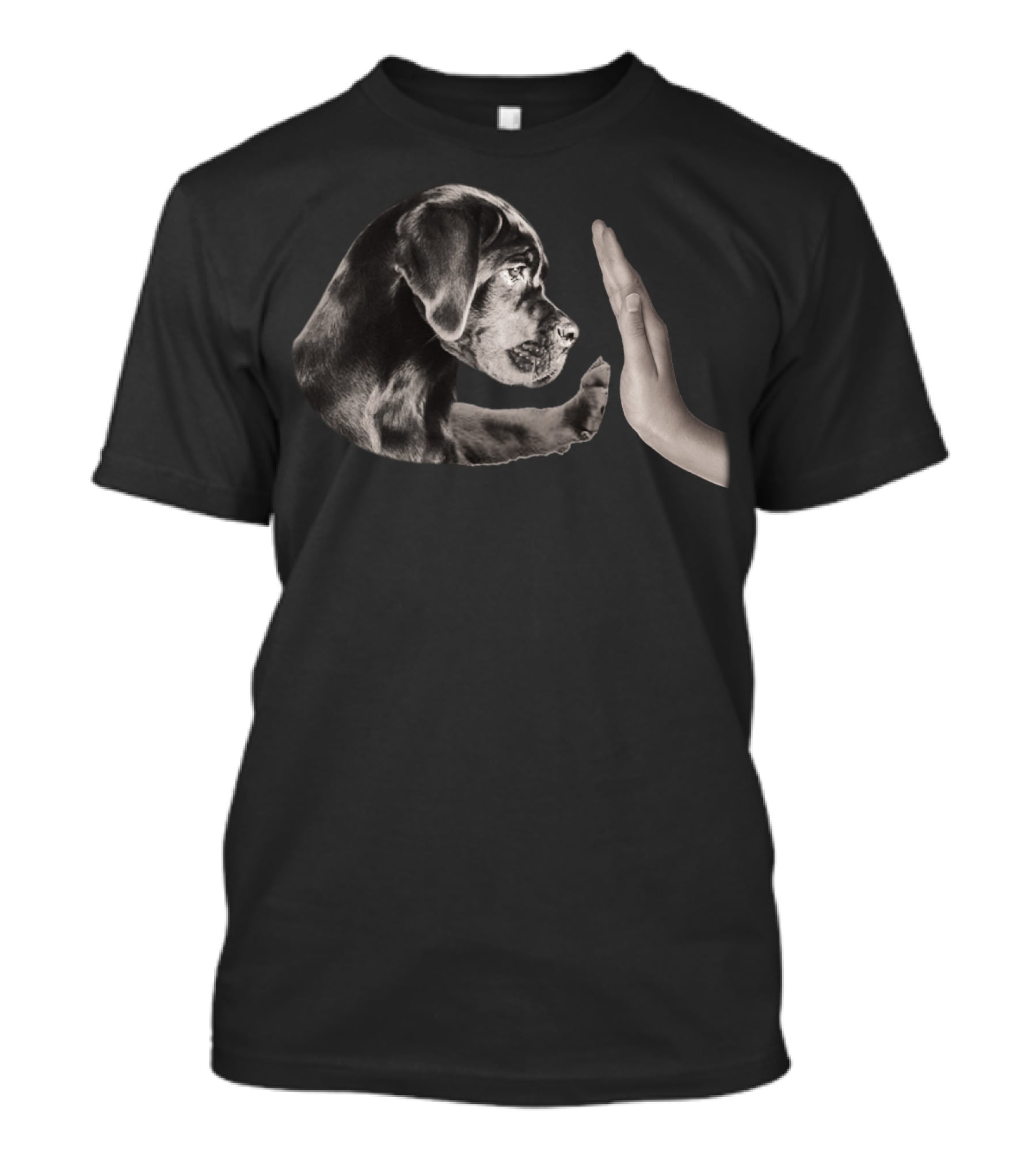 Cane Corso Puppy Paw Highfive With Hand T-Shirt