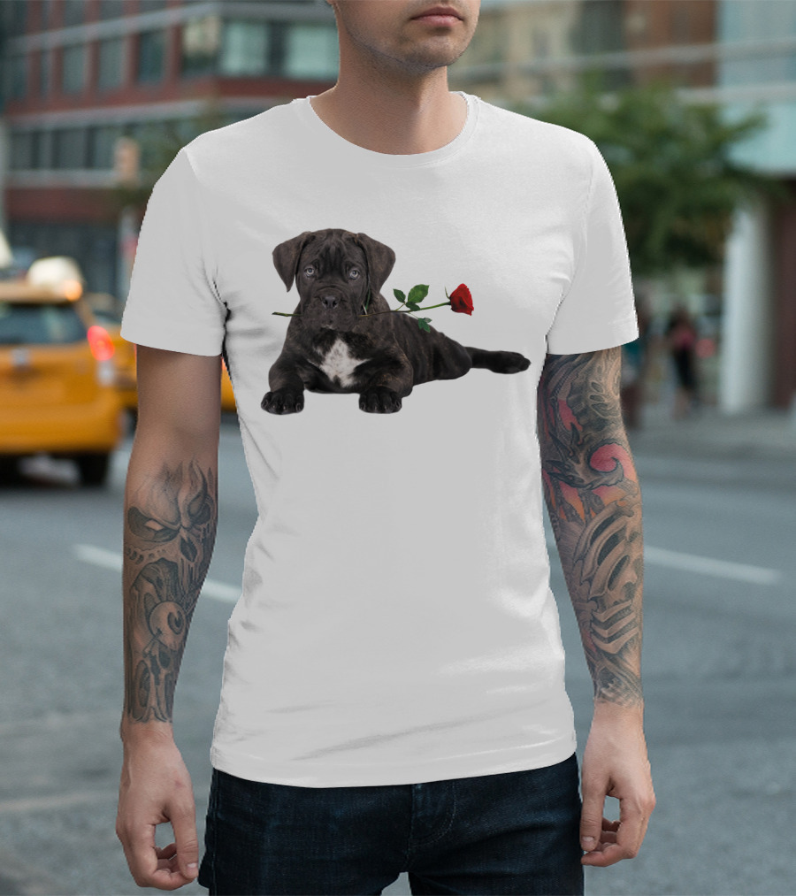 Cane Corso Puppy with a Red Rose in Mouth T-Shirt