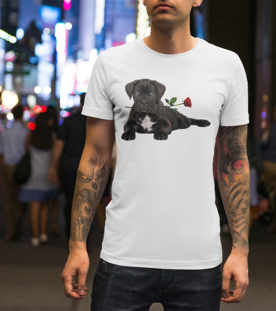 Cane Corso Puppy With A Red Rose In Mouth T-Shirt