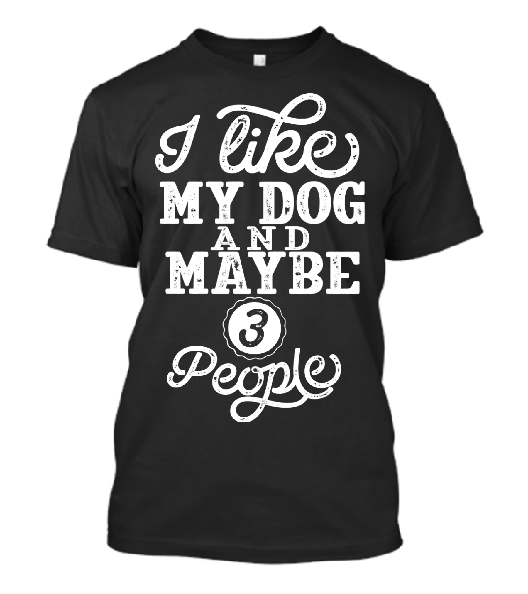 I Like My Dog And Maybe 3 People Longsleeve Text T-Shirt