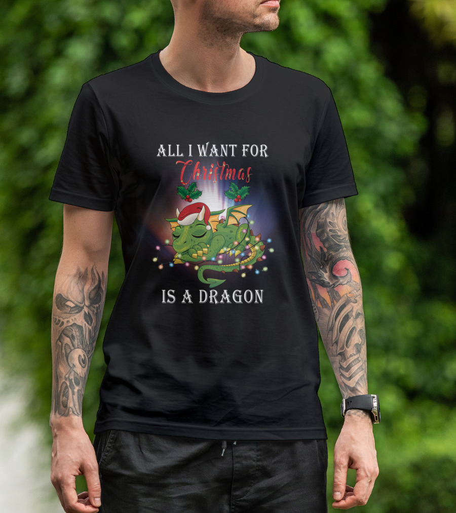 All I Want For Christmas Is A Dragon T-Shirt