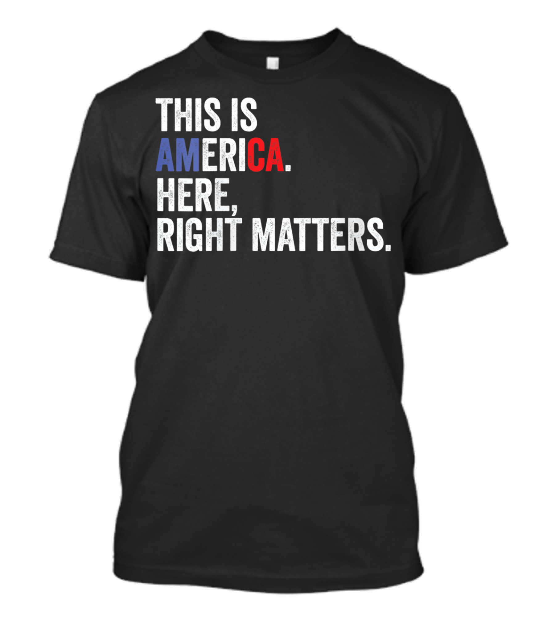 This Is America Here Right Matters Political USA T-Shirt