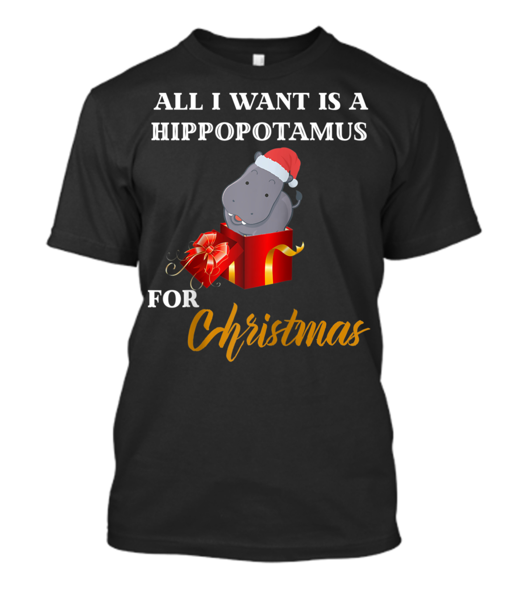 All I Want Is A Hippopotamus For Christmas T-Shirt