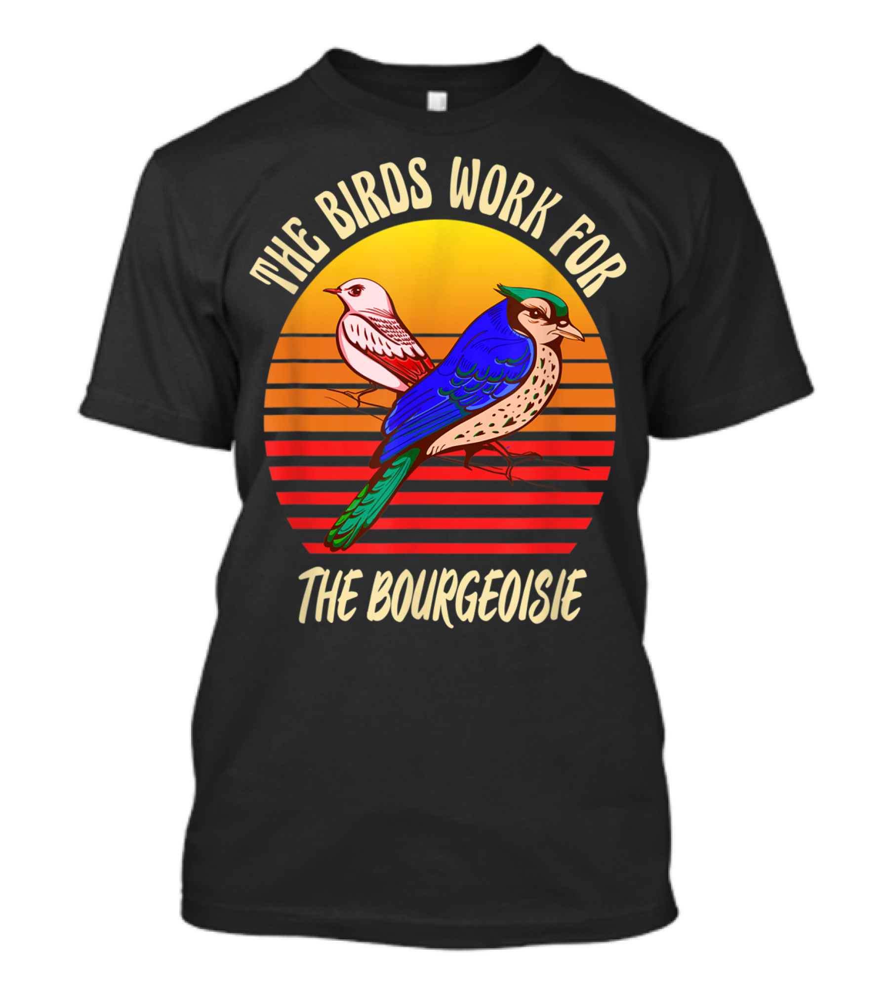 The Birds Work For The Bourgeoisie Conspiracy Theory T-Shirt