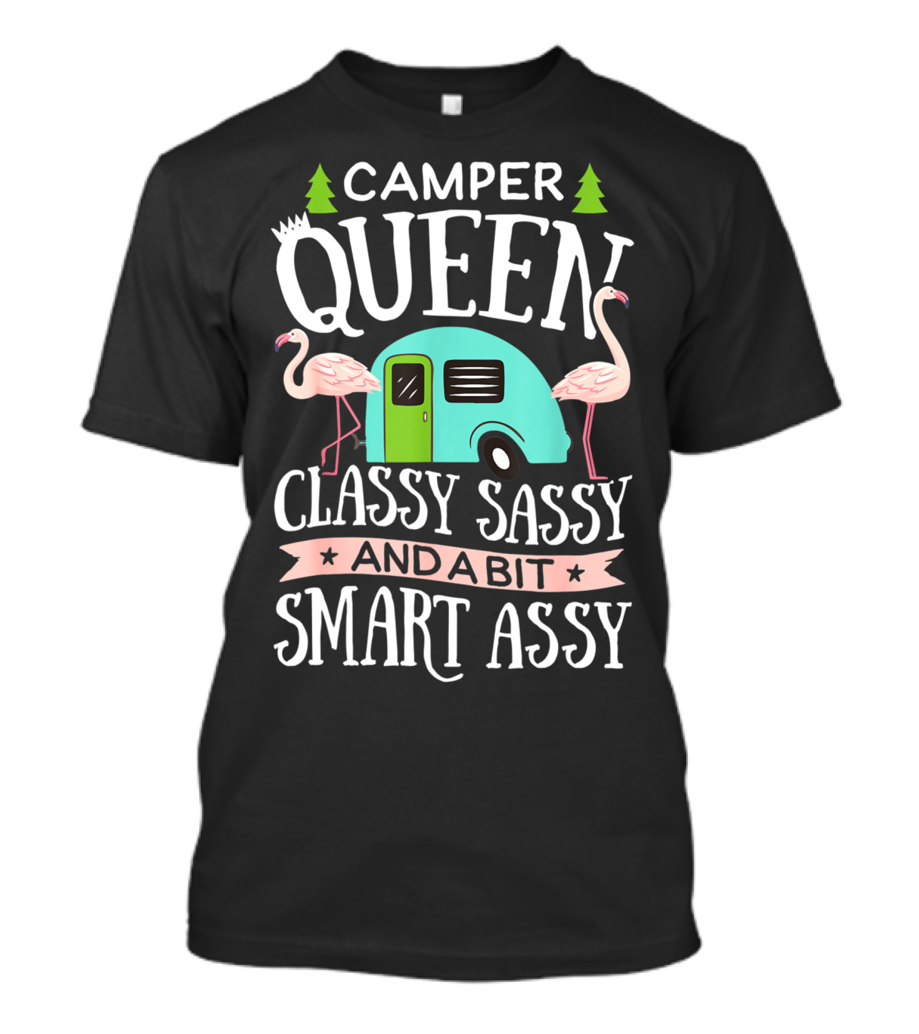 CAMPER QUEEN Classy Sassy And A Bit Smart Assy Flamingo RV Camping T-Shirt