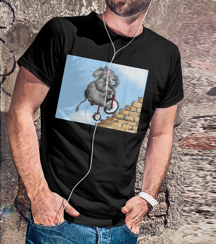 Challenge Accepted Elephant On Unicycle Climbing Stairs T-Shirt