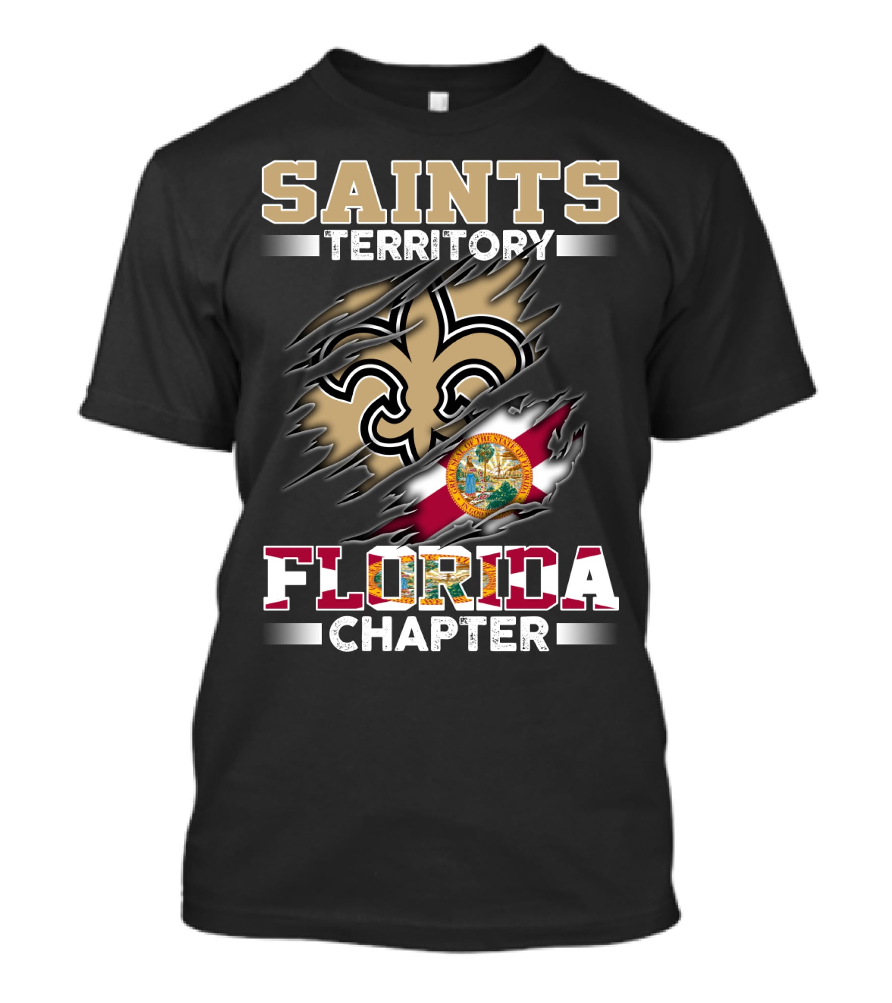 Saints Territory Florida Chapter State Seal And Symbols Torn T-Shirt