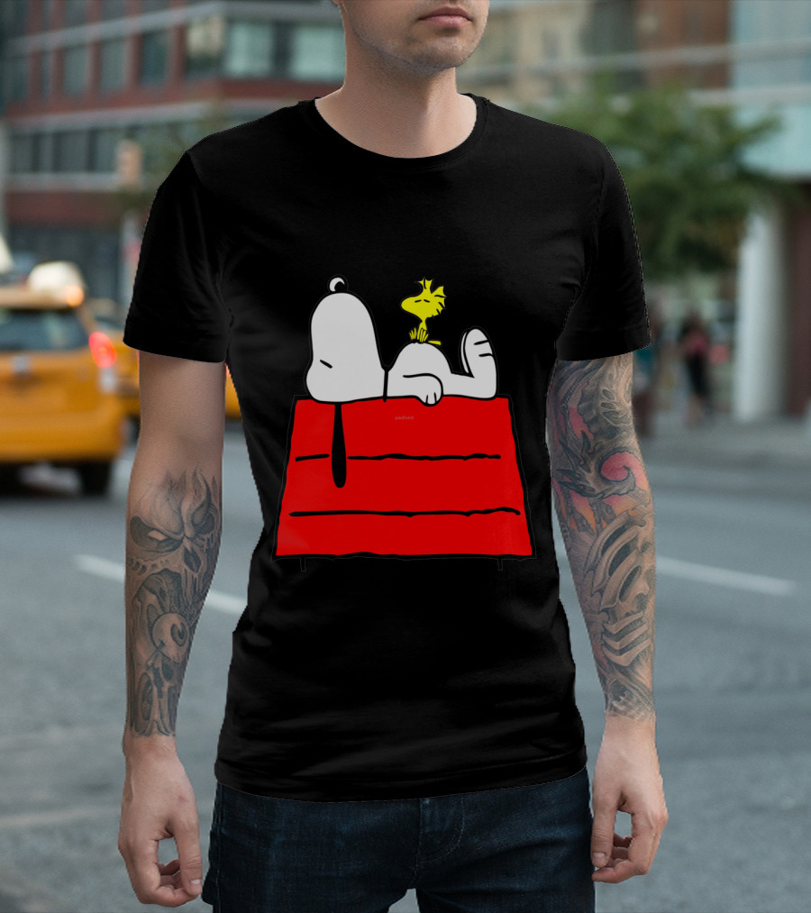 Snoopy Sleeping On Red Doghouse With Woodstock T-Shirt