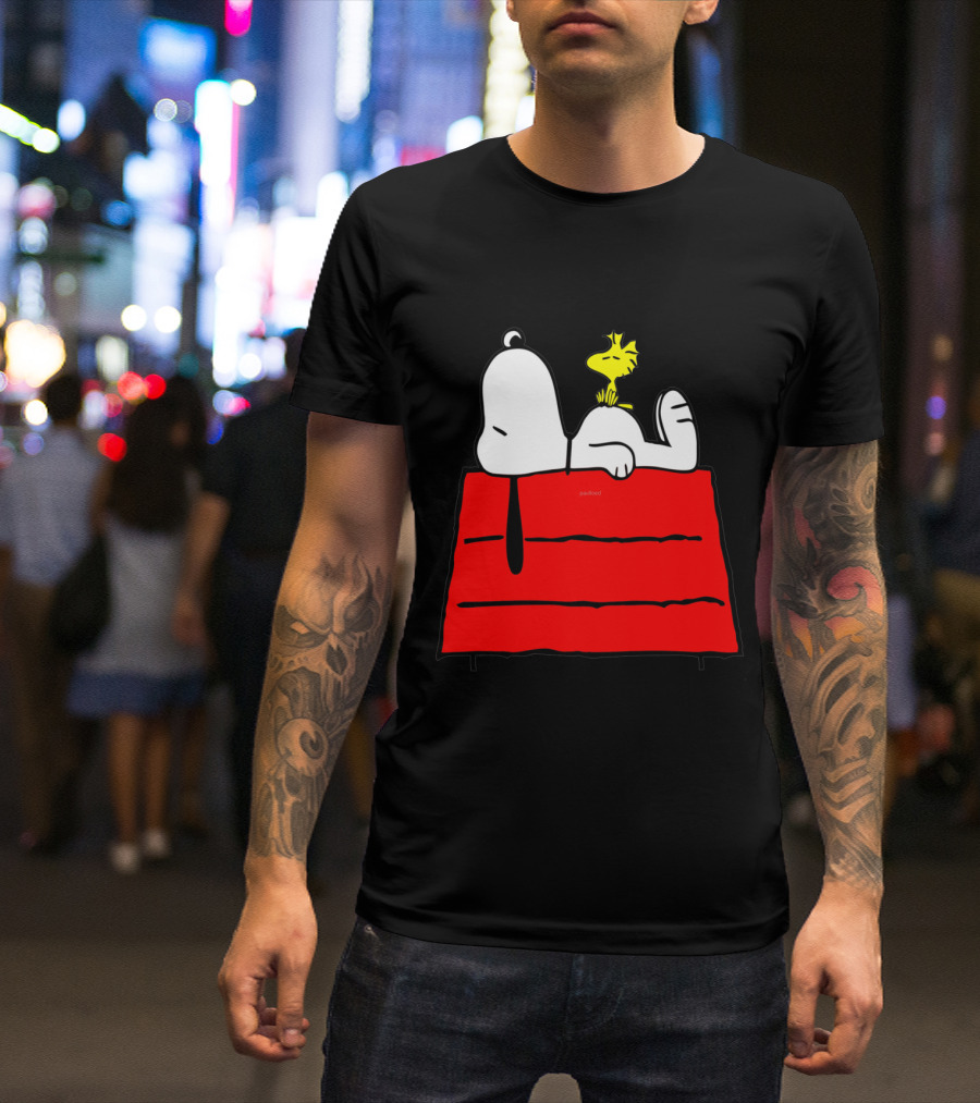 Snoopy Sleeping On Red Doghouse With Woodstock T-Shirt