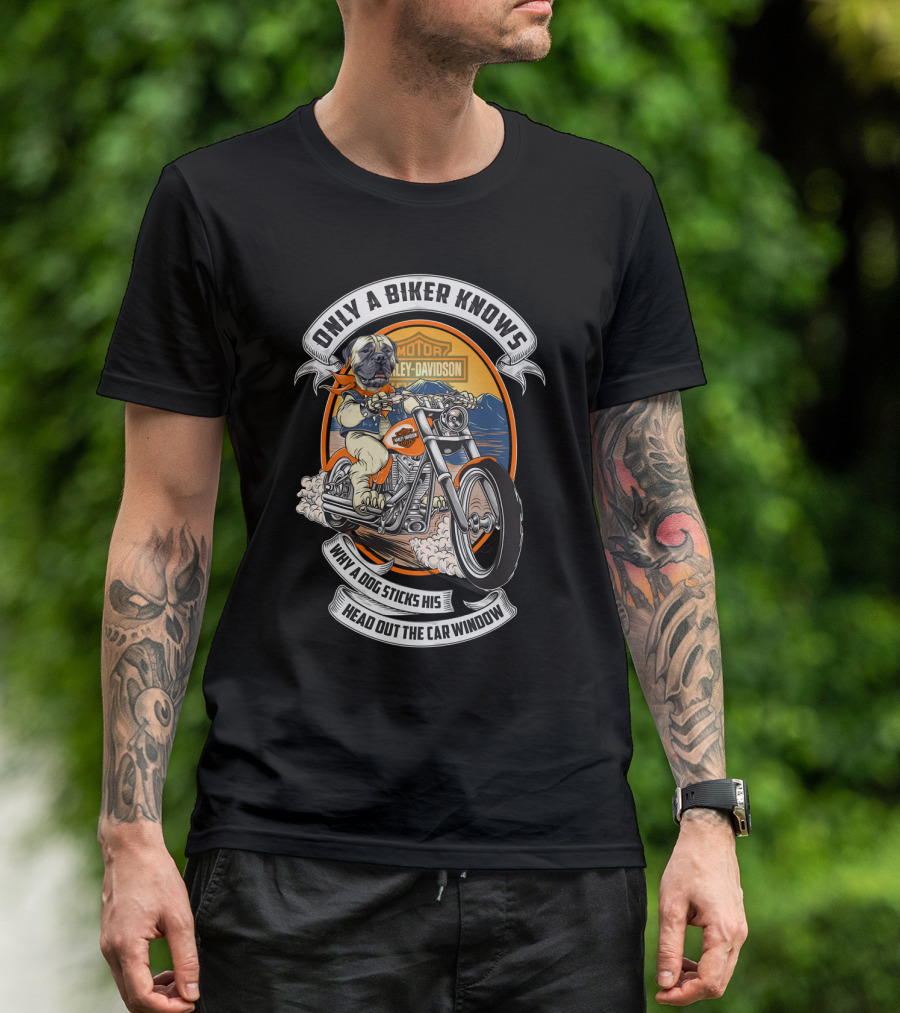 Only A Biker Knows Why A Dog Sticks His Head Out The Car Window Harley Davidson Bullmastiff T-Shirt