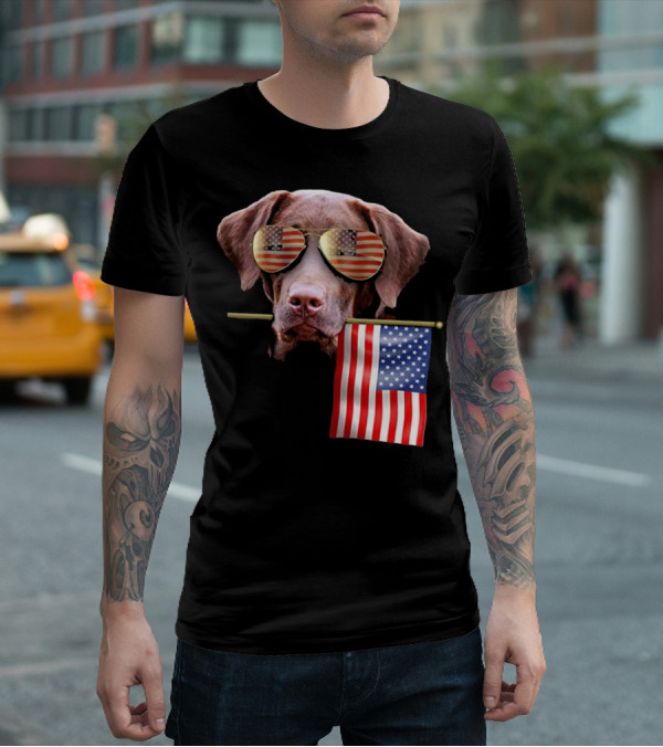 Pitbull Dog With American Flag Sunglasses And Flag T-Shirt