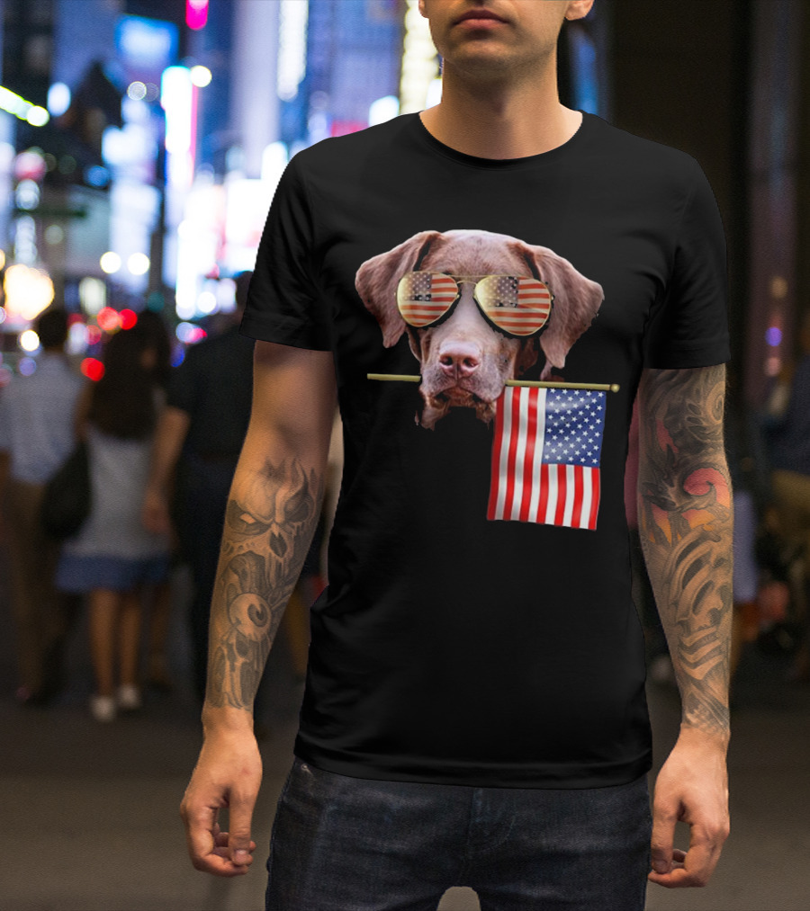 Pitbull Dog With American Flag Sunglasses And Flag T-Shirt