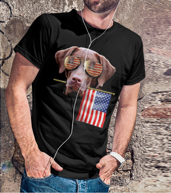 Pitbull Dog With American Flag Sunglasses And Flag T-Shirt