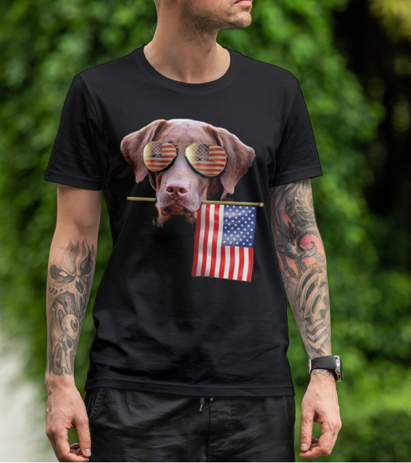 Pitbull Dog With American Flag Sunglasses And Flag T-Shirt