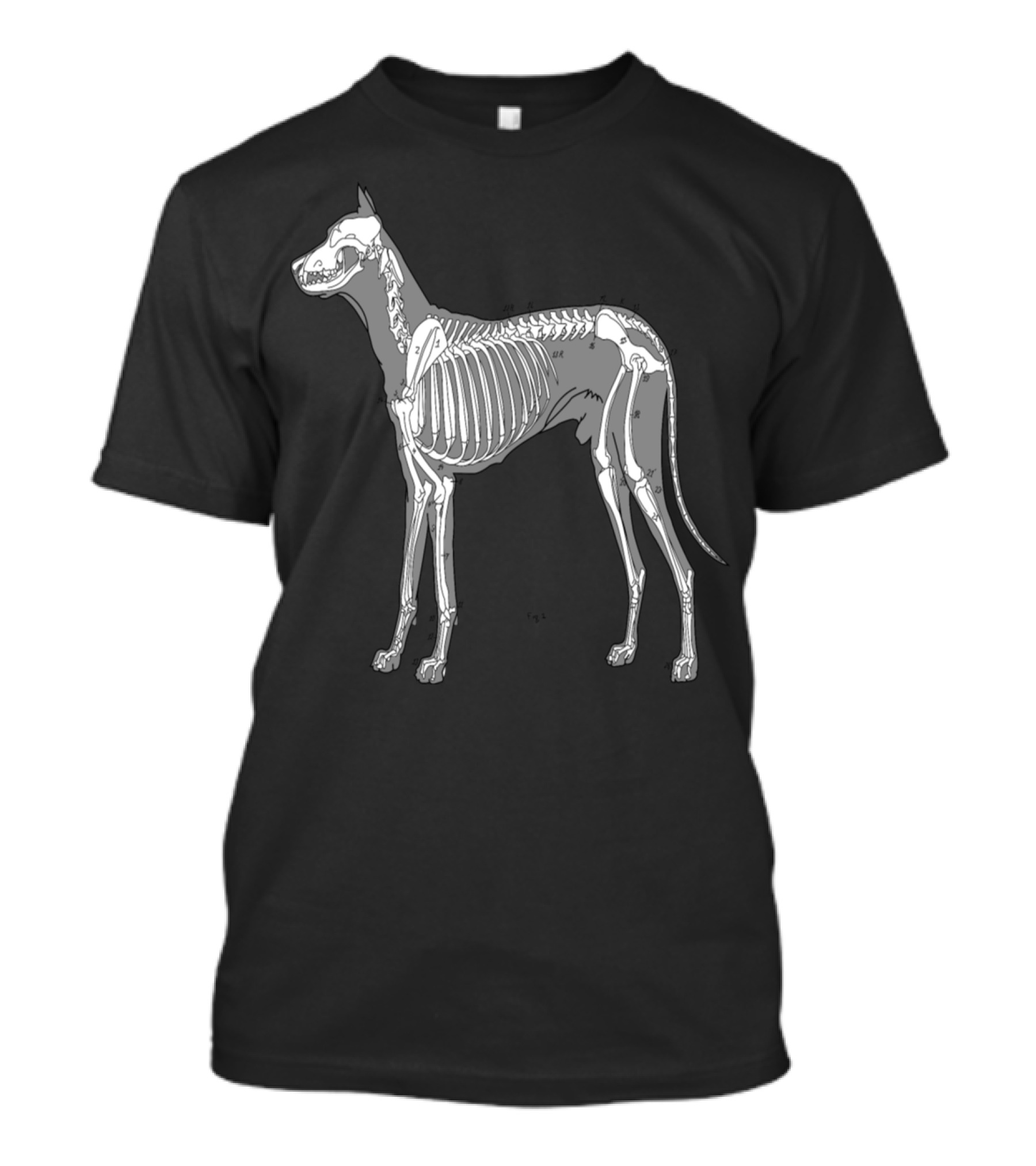 Dog Anatomy Skeleton Diagram T-Shirt