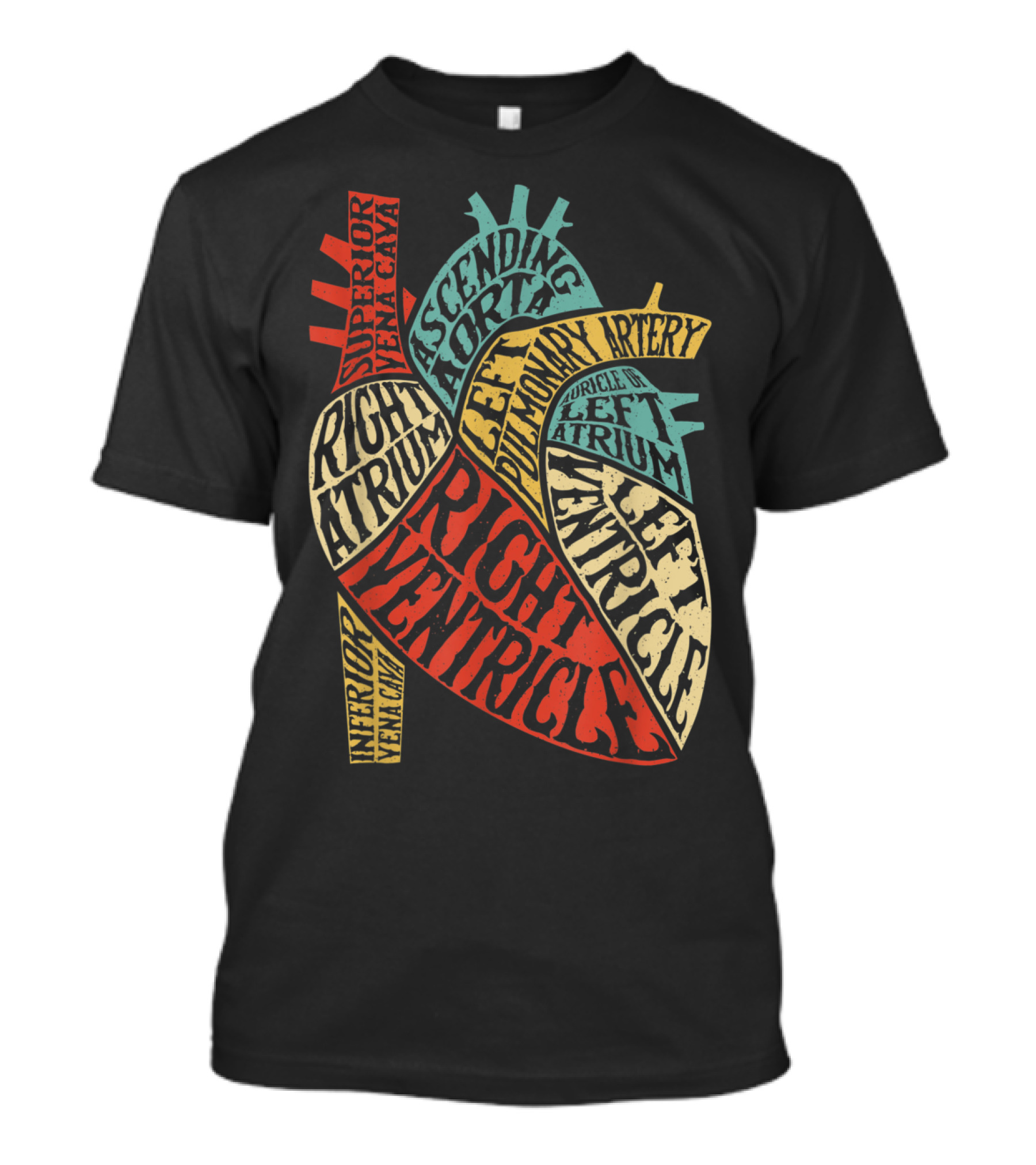 Anatomy Science Heart Typography Superior Vena Cava Right Atrium Ascending Aorta Left Ventricle T-Shirt