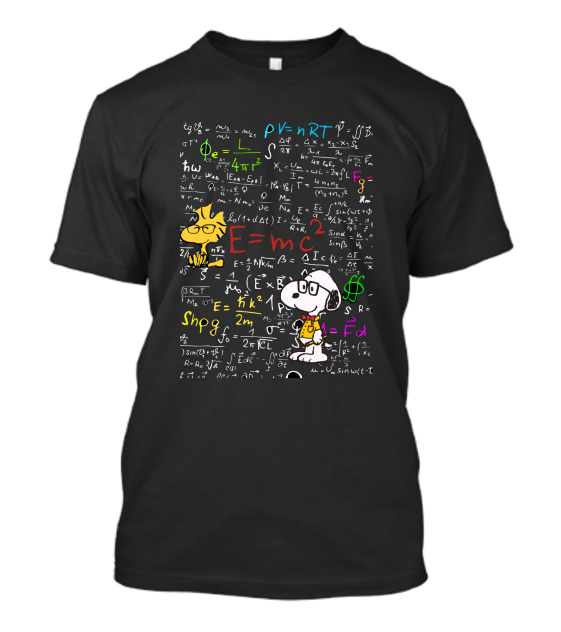 Snoopy Woodstock Talk Nerdy To Me Chalkboard Math Equations T-Shirt