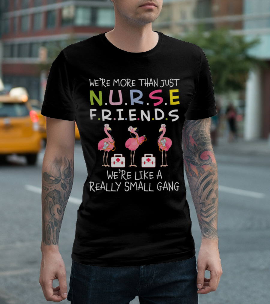 We're More Than Just Nurse Friends Flamingos Like a Really Small Gang T-Shirt