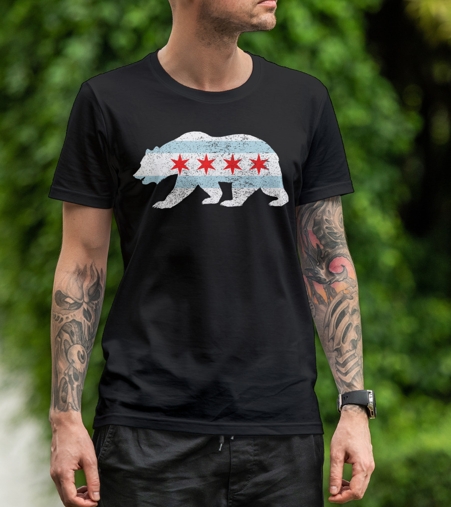 Sweet Vintage Chicago City Flag Bear Four Red Stars Blue Stripes T-Shirt