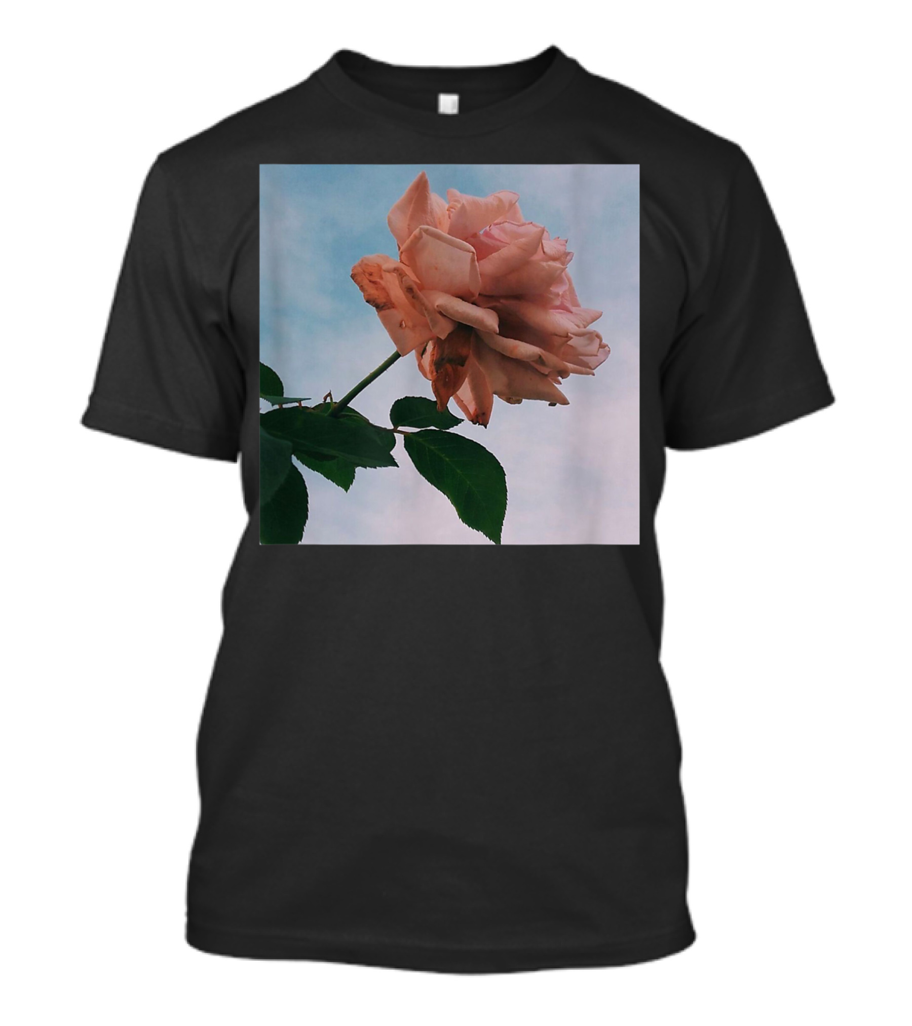 Vintage Pink Roses Floral Aesthetic Stylish Flowers T-Shirt
